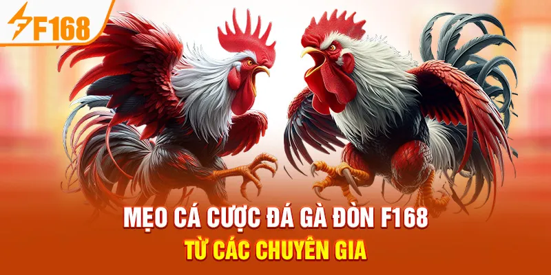 Mẹo Cá Cược Đá Gà Đòn F168 Từ Các Chuyên Gia